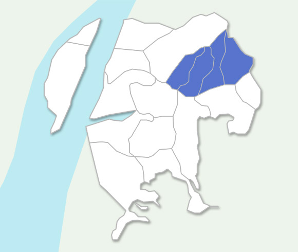 괴정동 위치가 표시된 사하구 지도